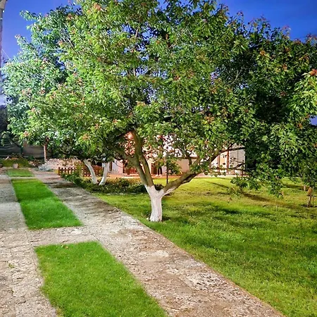 къщата с кладенеца - с. кантарджиево Casa vacanze General-Kantardzhievo